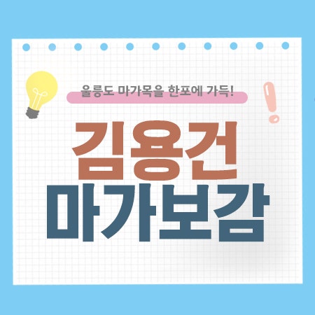 김용건 마가보감 가격 효능 프리미엄 공식 구매처 추천