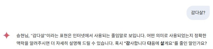  감다살과 10%가 아쉬운 Gemini