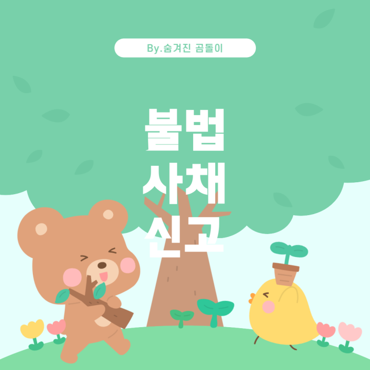  불법 사채 신고 절차 및 대처 방법
