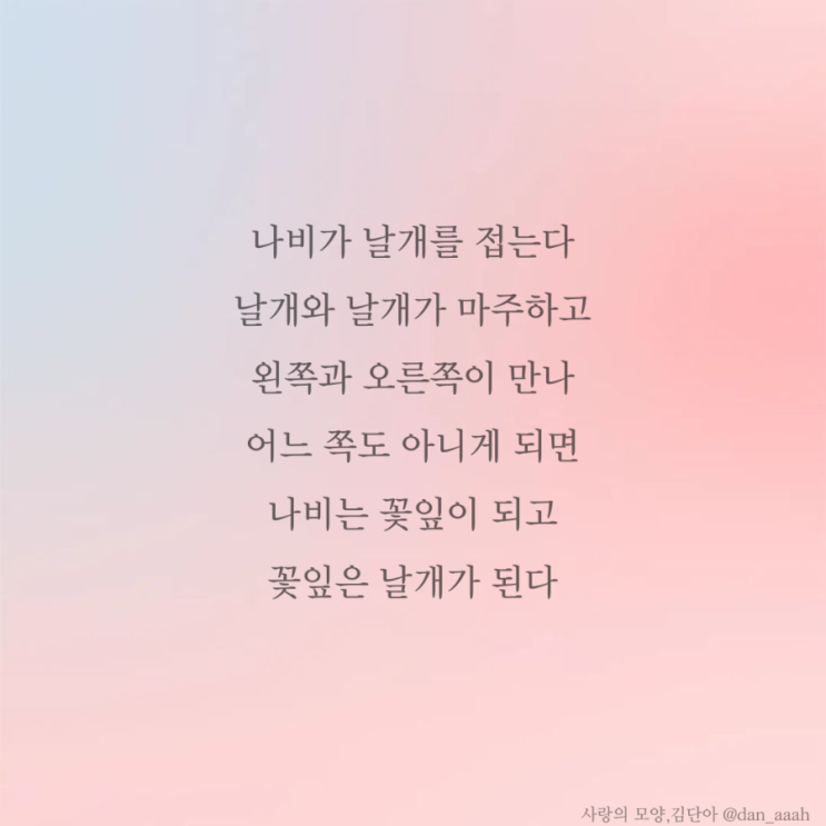  [좋은글] 꽃과 나비 - 사랑의 모양은 뭘까