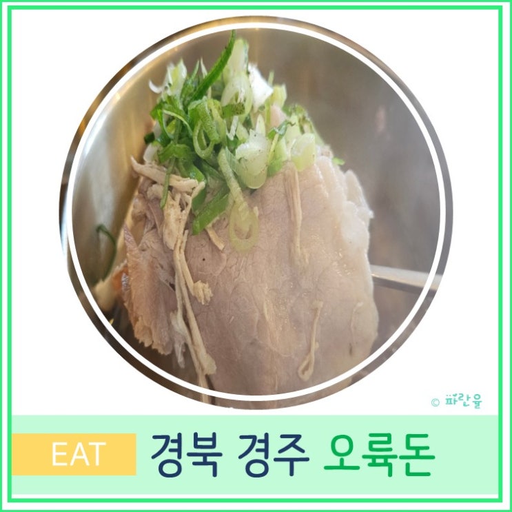  경주 여행 핫플 금리단길 현지인 돼지국밥 맛집 오륙돈