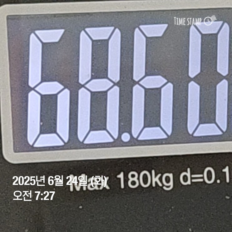  위고비 65일째 기록 (2.4 품절이래요)