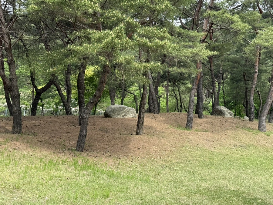 태봉산 사진 6