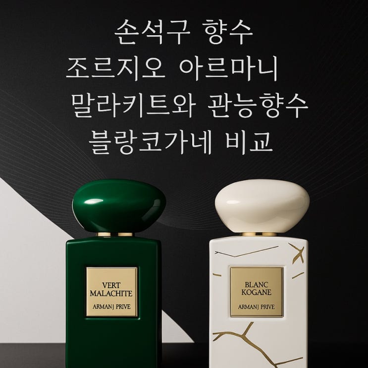  내돈내산 조르지오아르마니 손석구 향수 말라키트 VS 블랑코기네