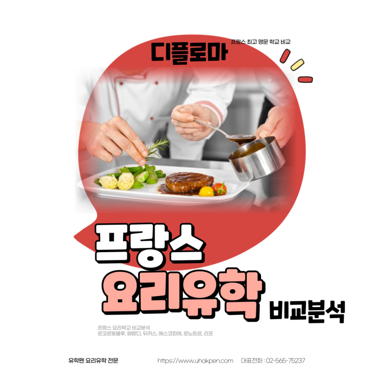  프랑스 요리 유학(diploma, cap) 6개 명문 학교 비교분석