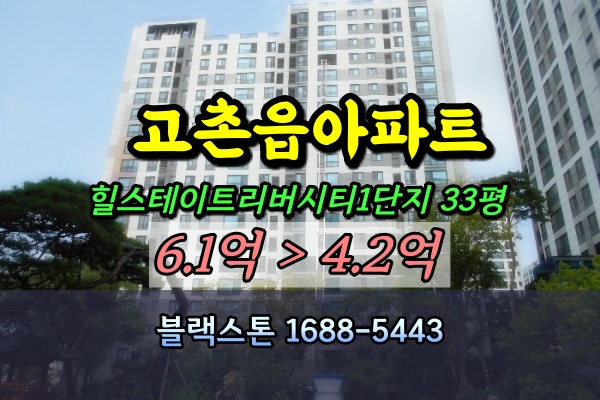  고촌읍 힐스테이트 리버시티 1단지 경매 33평 [2024타경46536]