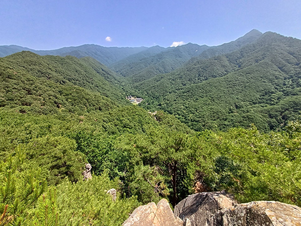 봉재산 사진 1