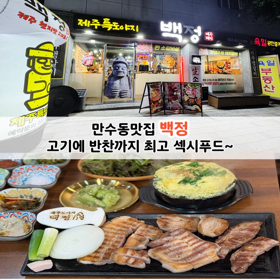 엄마도야지 사진 2