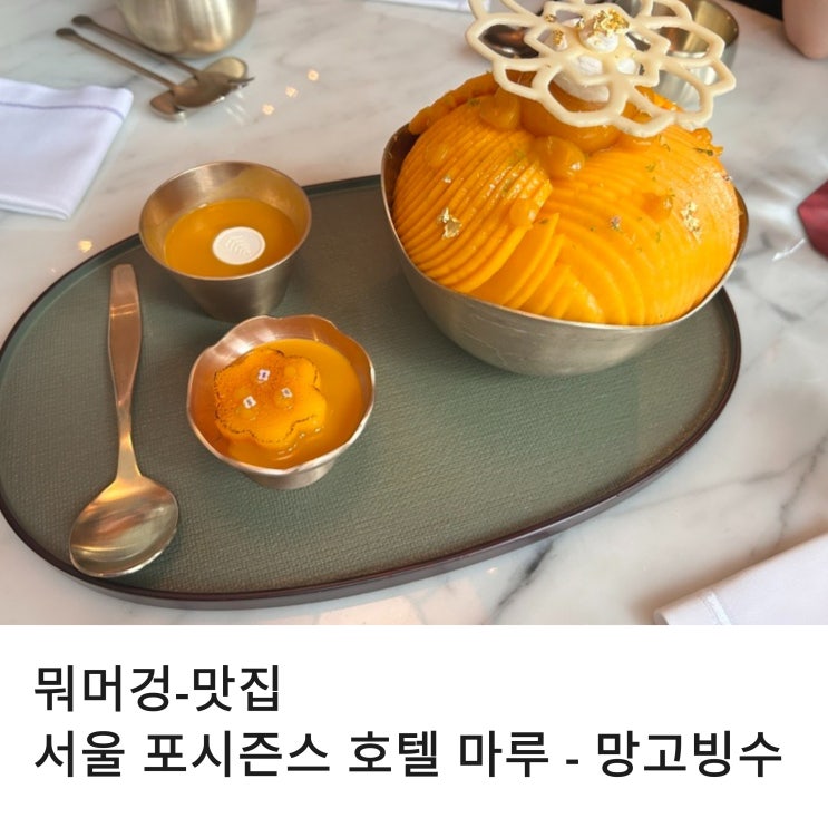  내 돈 내산 서울 호텔 포시즌스 마루에서  2025년 국내 최고가 애플망고 빙수 먹어봤습니다.