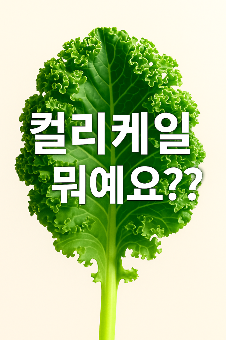  컬리케일이 뭐예요??? 효능과 먹는 법 정리해드릴게요!