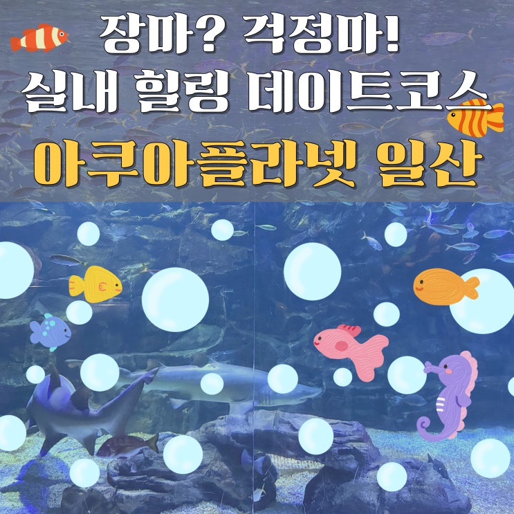  서울 근교 장마철 가볼만한곳 찾는다면? 주말 데이트는 여기서 끝! 아쿠아플라넷 일산