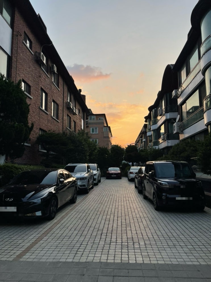  6월의 기록
