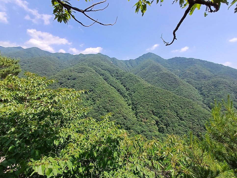 봉재산 사진 2