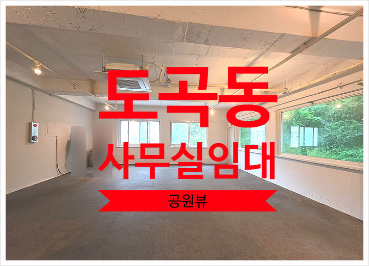  도심 속 쉼표, 뷰 좋은 도곡동 사무실 임대 테라스와 공원뷰