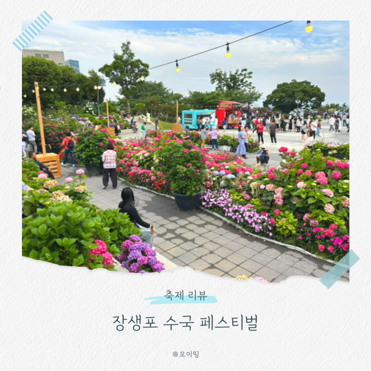 장생포 수국 페스티벌 울산 수국축제 기간 개화상황 주차장 정보
