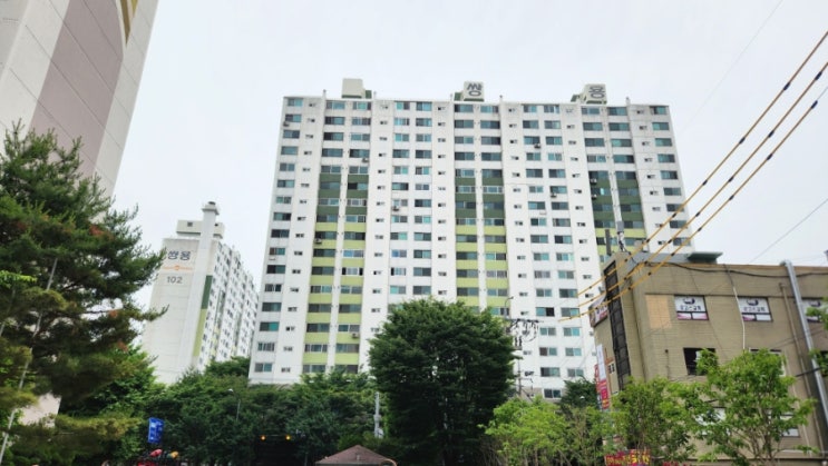  송파구 풍납동 쌍용 아파트 임장: 쾌적한 주거 환경과 재건축 기대감 품은 알짜배기 단지 분석