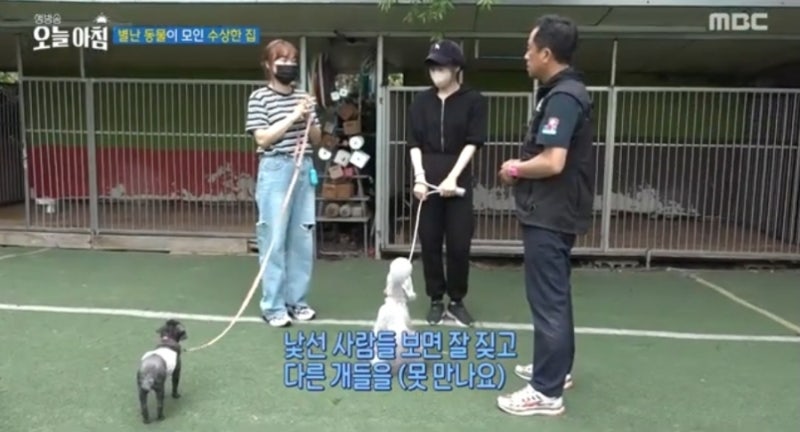 사진 7