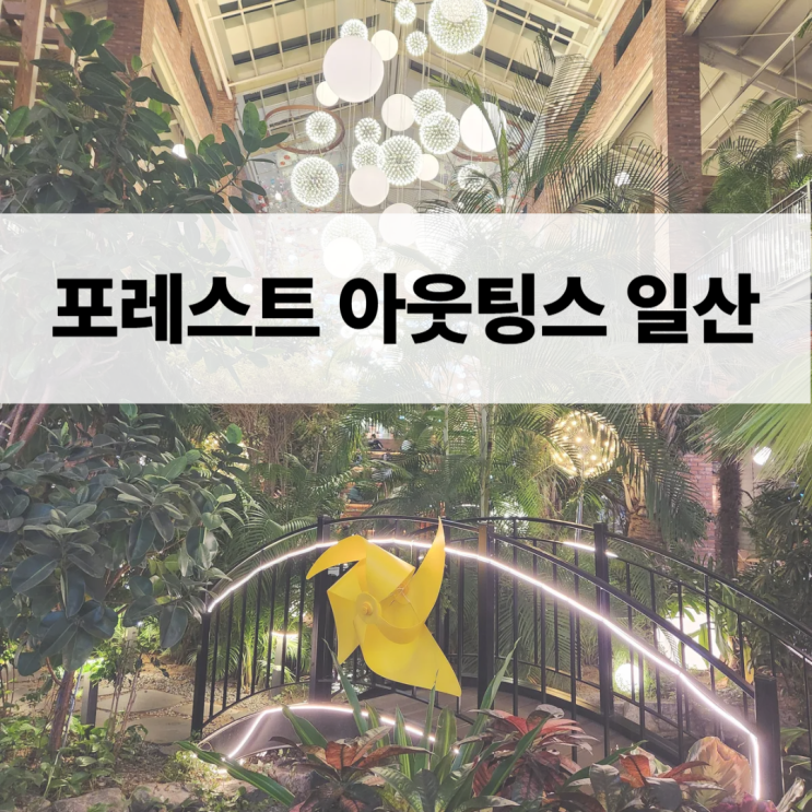  포레스트 아웃팅스 일산/ 내돈내산/ 여기는 카페인가 사진 맛집인가?
