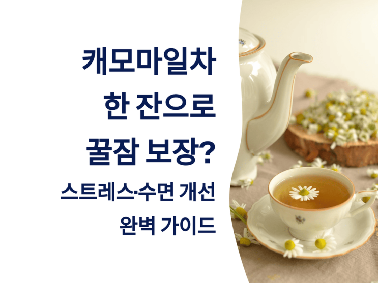  캐모마일차 한 잔으로 꿀잠 보장? 스트레스·수면 개선 완벽 가이드