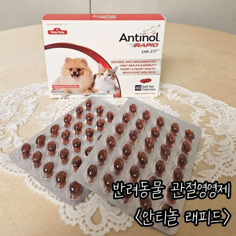 설채현 추천 강아지 고양이 슬개골 탈구 영양제 : 안티놀 래피드