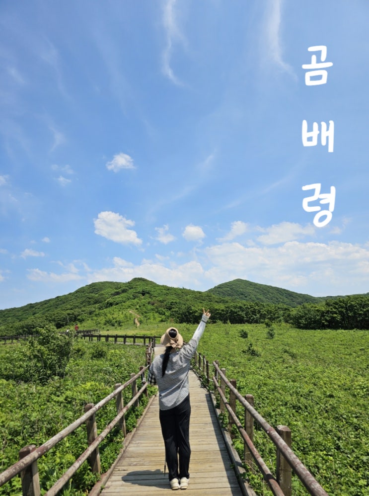 강원도여행 인제 가볼만한곳, 곰배령 예약부터 등산 후기까지!
