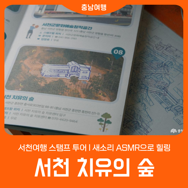 사진 3
