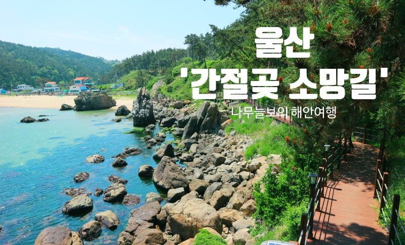 사진 7