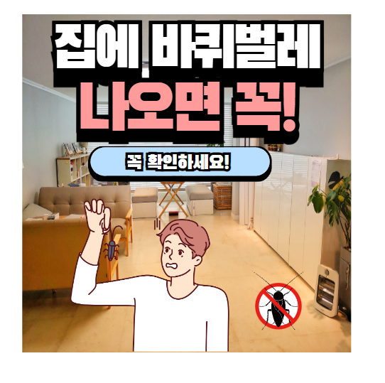 집에 바퀴벌레 나오면 죽이는법 방역업체 박멸