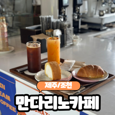  [제주/조천] 제주아이랑가기좋은곳 제주조천카페 "만다리노 카페" 솔직후기