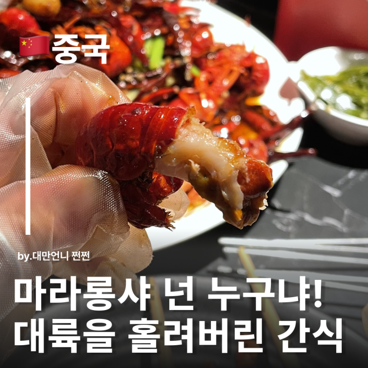  마라롱샤 麻辣龙虾 넌 누구냐! 중국여행가서 마라롱샤 이렇게만 드셔보세요