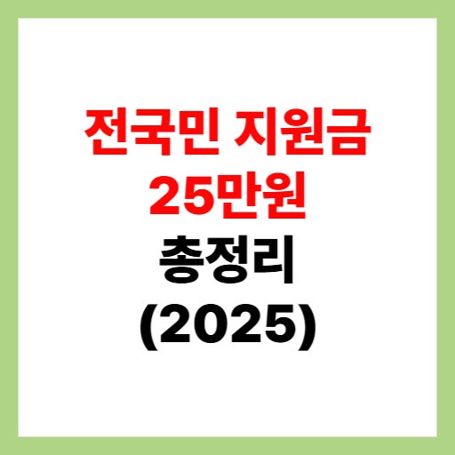  2025 전국민 지원금 25만원 아기·미성년자·어린이 신청방법 정리
