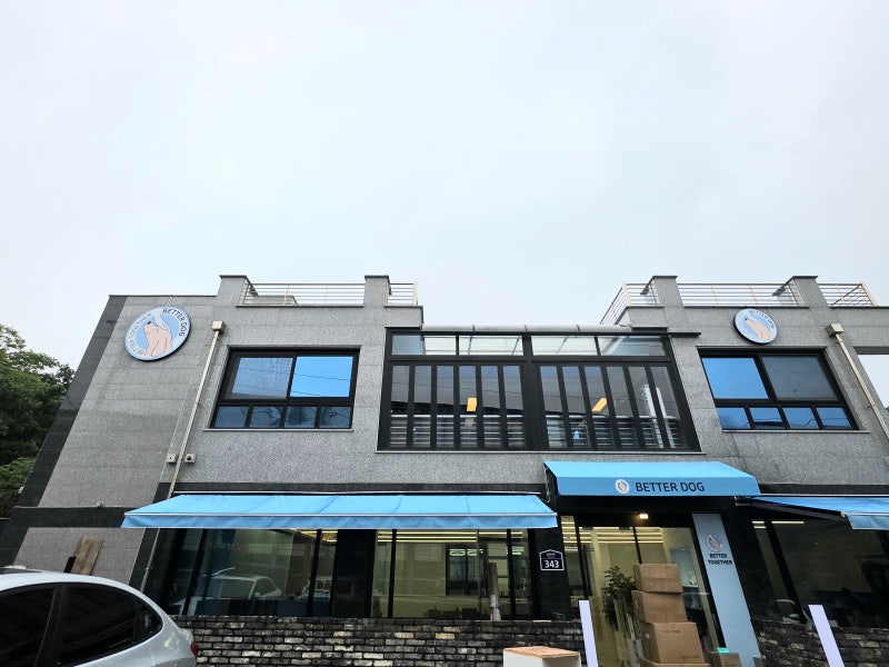 베럴독 강아지 훈련소,애견호텔 유치원