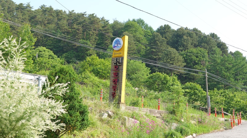 사진 6