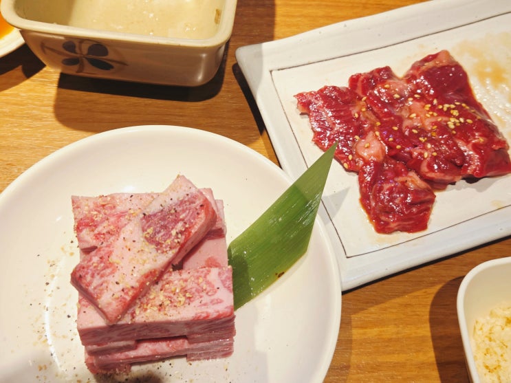  [일본 삿포로 신혼여행 No.3] 스스키노 야끼니쿠 맛집 "시부키" / 다누키코지 거리 라멘 맛집 "요시야마 쇼우텐"