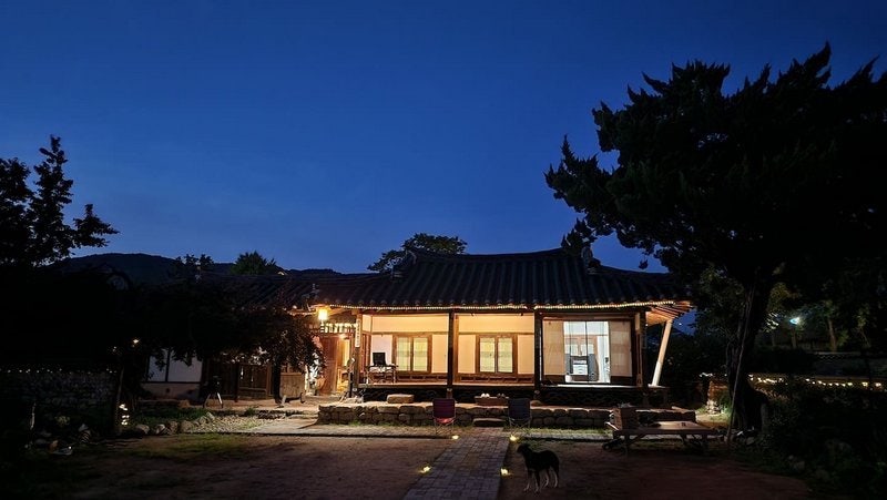 사진 9