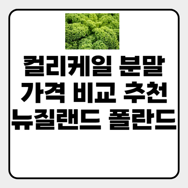  컬리케일 분말 가격