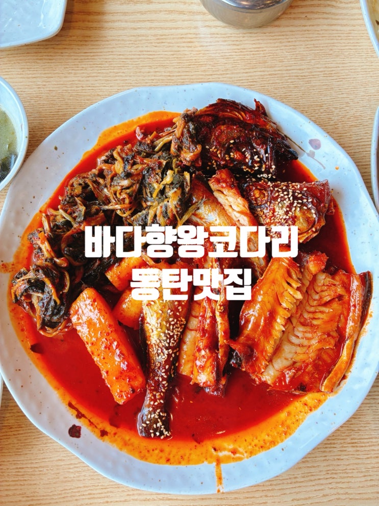  동탄 점심 맛집 추천 바다향왕코다리 시래기 추가하면 진짜 다름