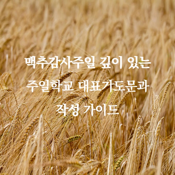  맥추감사주일 깊이 있는 주일학교 대표기도문 작성 가이드