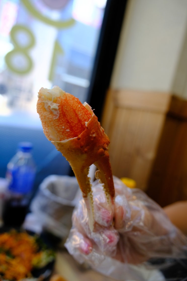  대게 포장도 가능한 속초 대포항 횟집 회센터 C동 현희네활어 맛집에서 게딱지 볶음밥 먹고 감동했어요