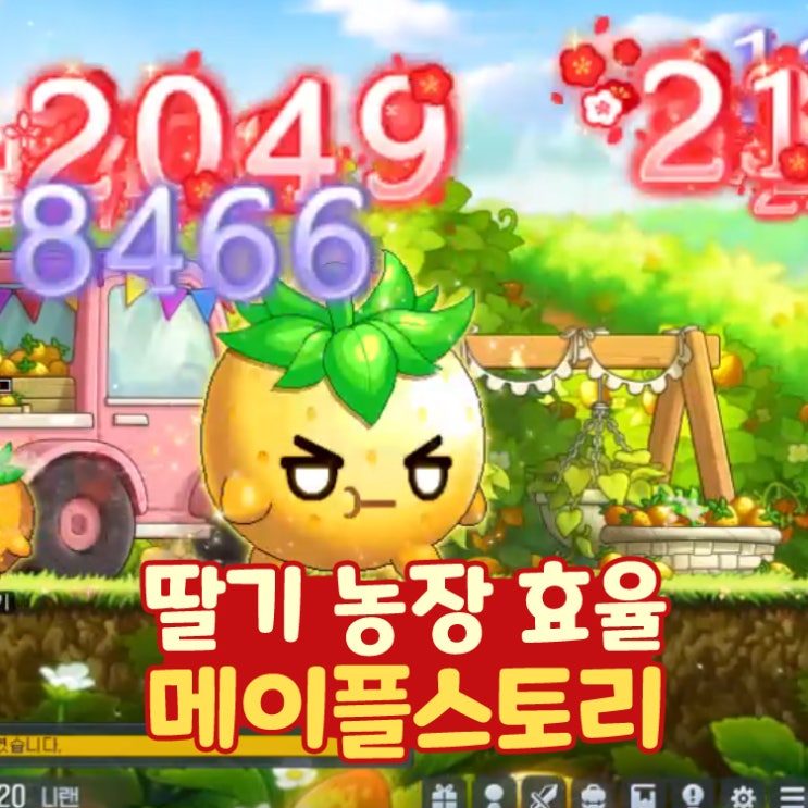  메이플 딸기 농장 가는법 딸농 효율 폭업 사냥터