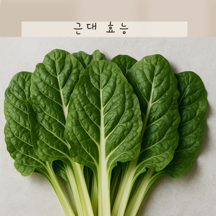 근대 효능 재발견! 무심코 지나친 영양가득한 채소