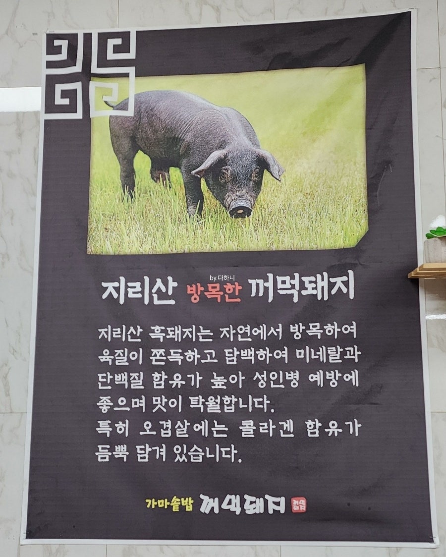 꺼먹돼지 사진 5