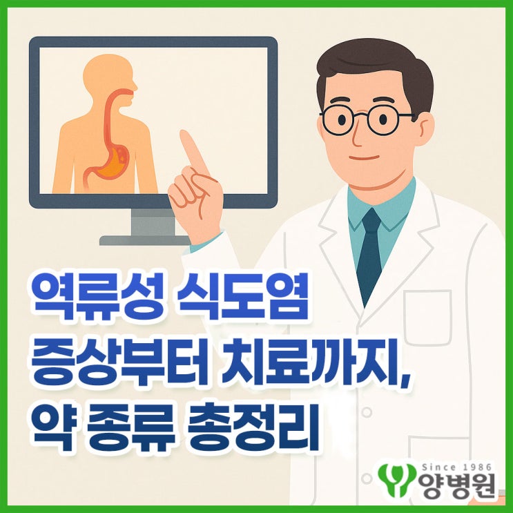  역류성 식도염 증상부터 치료까지, 약 종류 총정리! - 언제 병원 가야 할까?
