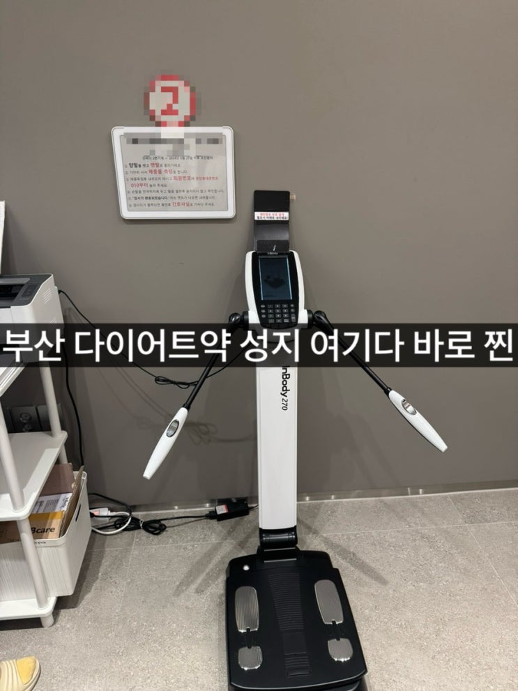  [다이어트] 급찐급빠 !!급하게 찐살 여름 다이어트 시작(feat.다이어트약 양약 도움)
