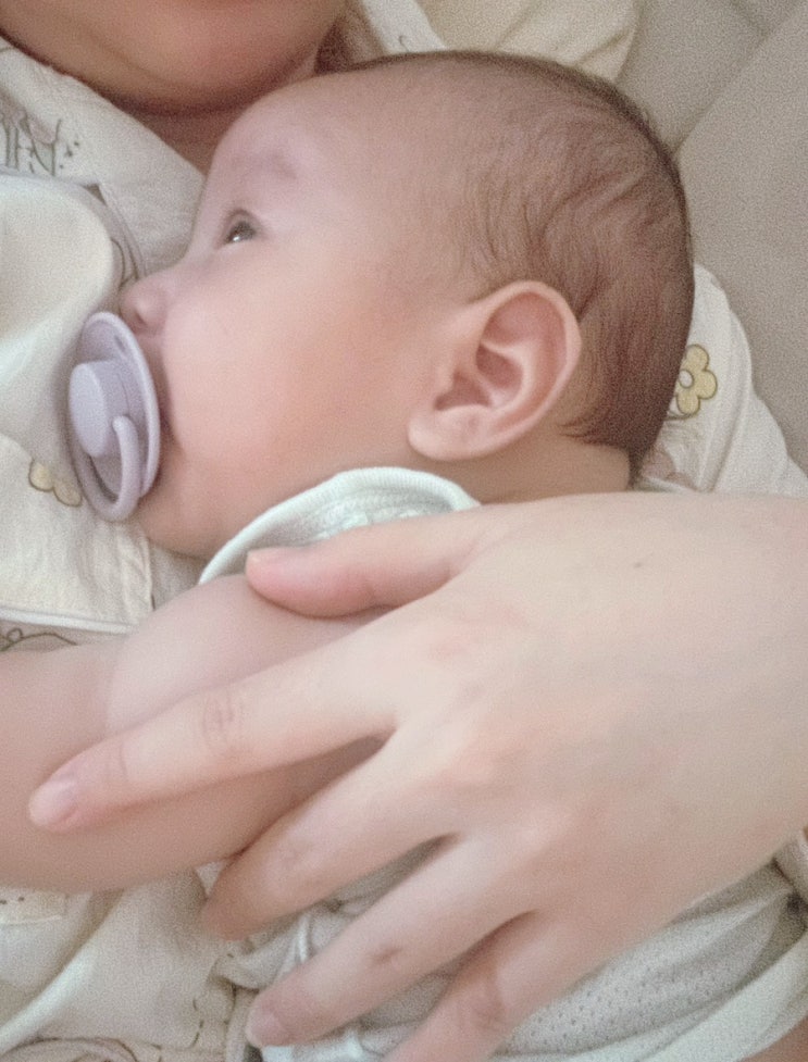  [짜몽’s 감성일상] 요즘 태양이는 엄마 껌딱지 