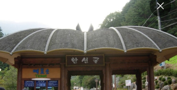  "환불 요청했는데 욕설 들었다" 삼척 환선굴 논란, 피서철 앞두고 관광업계 비상