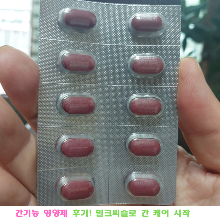 간 건강 지키는 간기능 영양제 후기! 밀크씨슬로 간 케어 시작했어요
