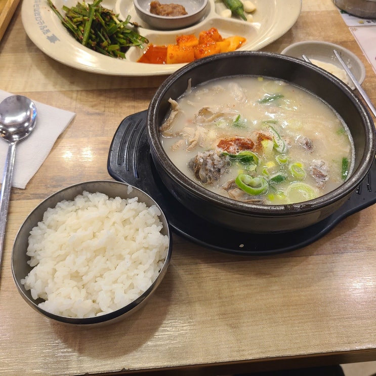  [해운대역] 부산여행객 혼밥하기 좋은 국밥 맛집 추천 <밀양순대돼지국밥 부산본점>