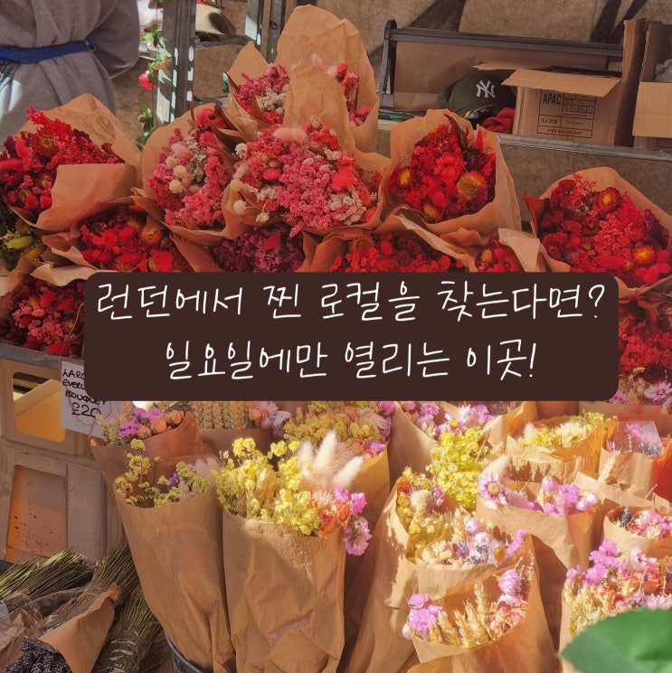  런던 여행 추천ㅣ현지 꽃시장 콜롬비아 로드 플라워마켓