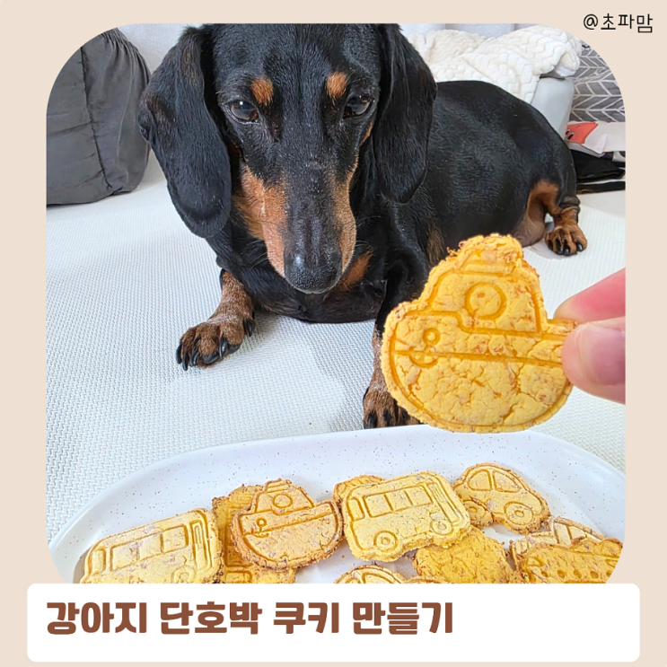  강아지 단호박 쿠키 만들기 초간단 레시피